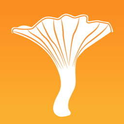 My Mushroom Spots app icon